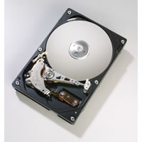 250GB Maxtor 7200RPM, 8MB IDE